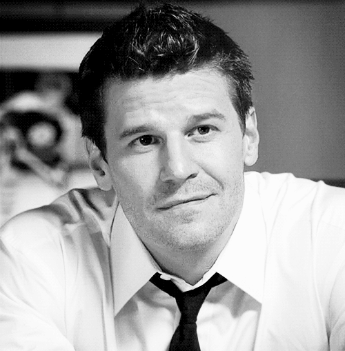 davidboreanazagenteseeleybooth