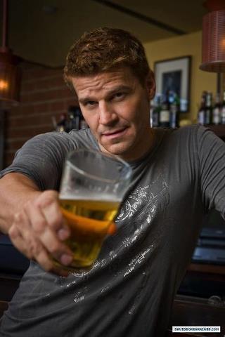 davidboreanazagenteseeleybooth