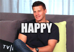 davidboreanazagenteseeleybooth