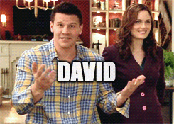 davidboreanazagenteseeleybooth