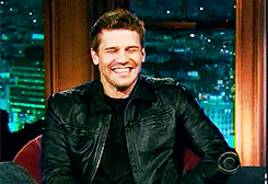 davidboreanazagenteseeleybooth