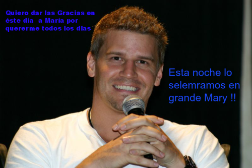 davidboreanazagenteseeleybooth