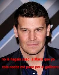 davidboreanazagenteseeleybooth