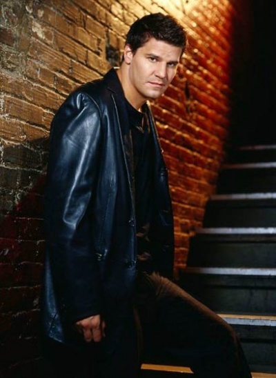 davidboreanazagenteseeleybooth