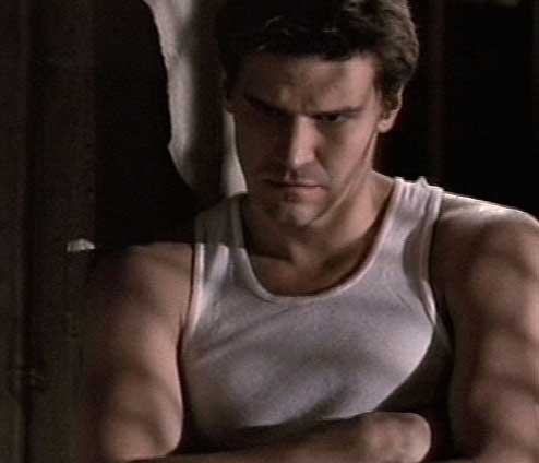 davidboreanazagenteseeleybooth