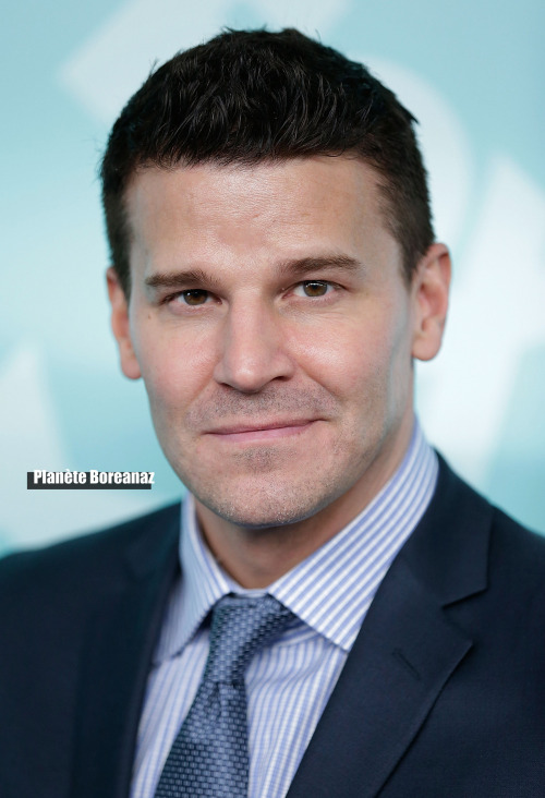 davidboreanazagenteseeleybooth