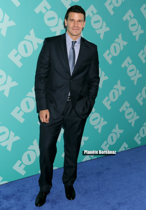 davidboreanazagenteseeleybooth