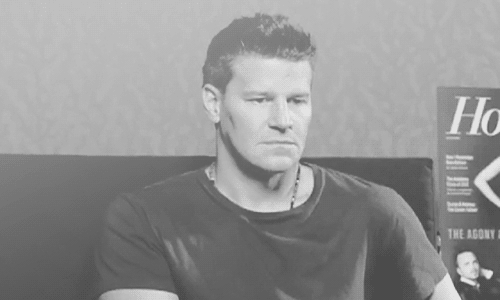davidboreanazagenteseeleybooth