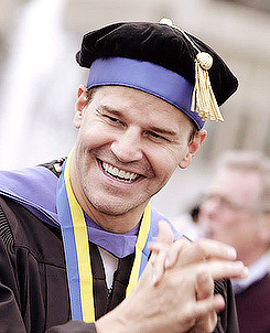 davidboreanazagenteseeleybooth