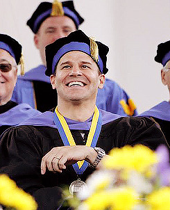 davidboreanazagenteseeleybooth