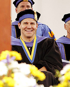 davidboreanazagenteseeleybooth