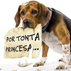 vmix3vacacionesenlaselvayelveranoacabo
