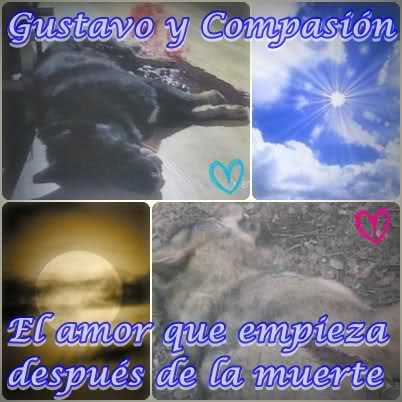 gustavoandcompasionamorenlasnochesdelunallena