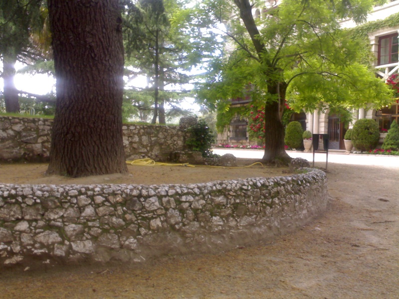 fotosdellunesenlauniversidadantoniodenebrijaexterioresdelinternadomasfotosdelpozoelarcoelbosqueyelpatiodeeducacionfisica