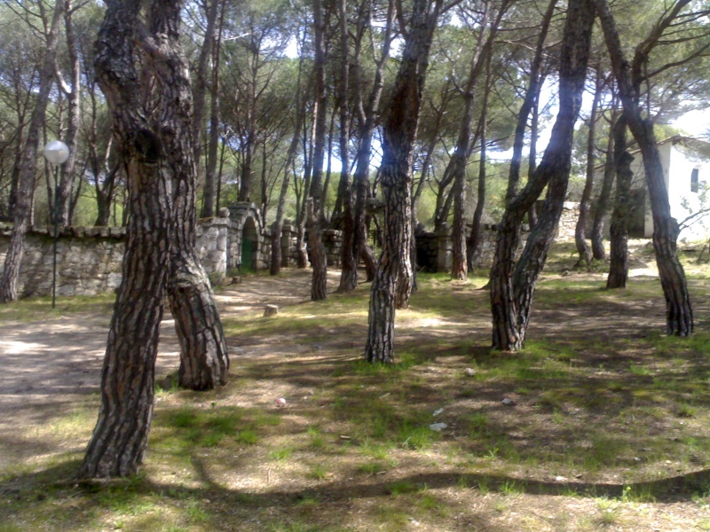 fotosdellunesenlauniversidadantoniodenebrijaexterioresdelinternadomasfotosdelpozoelarcoelbosqueyelpatiodeeducacionfisica