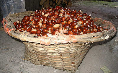 eldiadesanfelipe