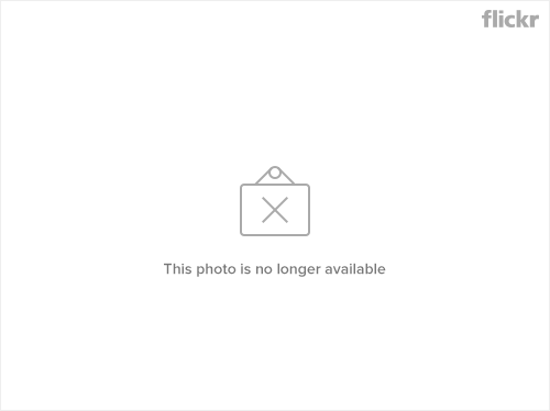 parafarmaciaeayotrosmenesteres