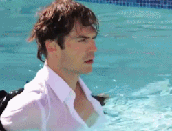 postnianninadobreviansomerhalderwhatabeautifulcouple