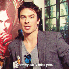 postnianninadobreviansomerhalderwhatabeautifulcouple