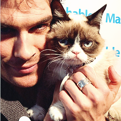 postnianninadobreviansomerhalderwhatabeautifulcouple