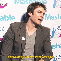 postnianninadobreviansomerhalderwhatabeautifulcouple
