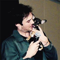 postnianninadobreviansomerhalderwhatabeautifulcouple
