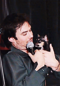 postnianninadobreviansomerhalderwhatabeautifulcouple