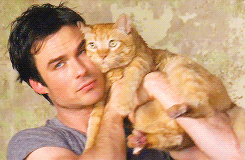 postnianninadobreviansomerhalderwhatabeautifulcouple