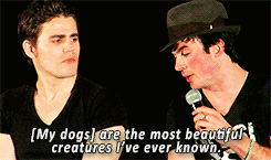 postnianninadobreviansomerhalderwhatabeautifulcouple