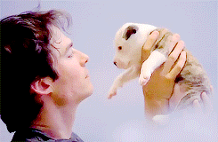 postnianninadobreviansomerhalderwhatabeautifulcouple