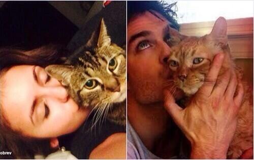 postnianninadobreviansomerhalderwhatabeautifulcouple