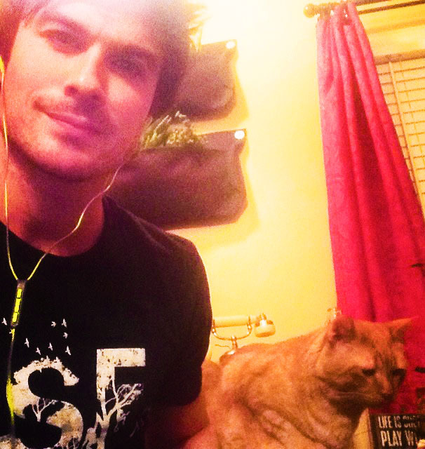 postnianninadobreviansomerhalderwhatabeautifulcouple