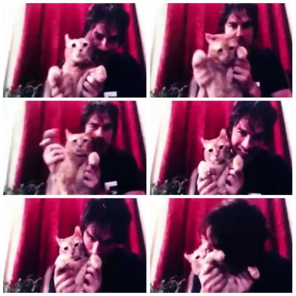 postnianninadobreviansomerhalderwhatabeautifulcouple
