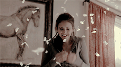 postninadobrev