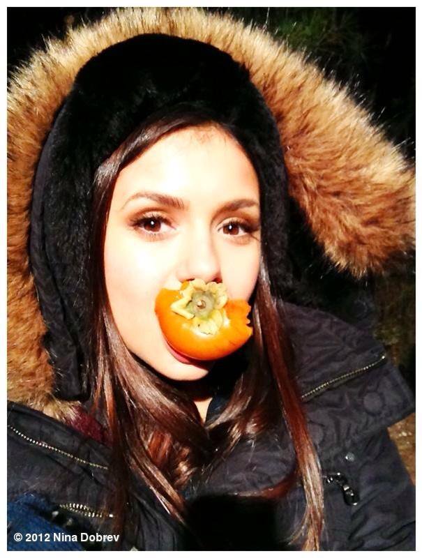 postninadobrev
