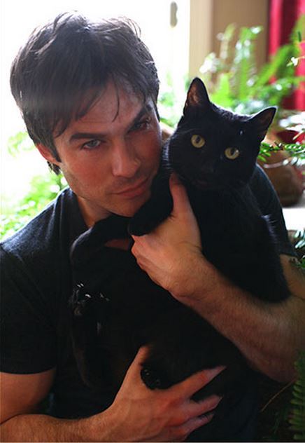 postiansomerhalderourcaptainplanet
