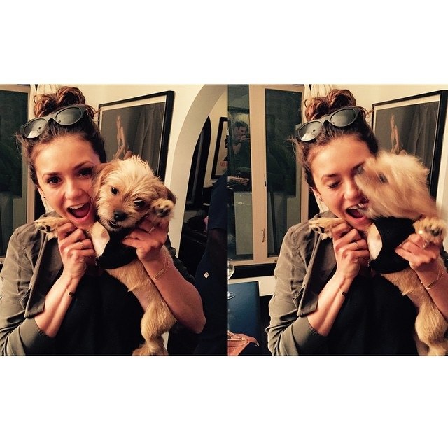 postninadobrev