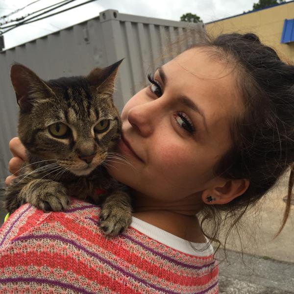 postninadobrev