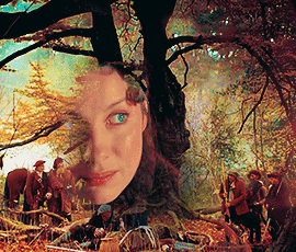 postparacomentaroutlander