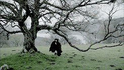 postparacomentaroutlander