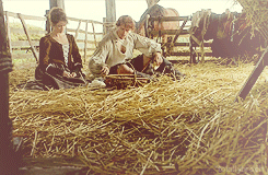postparacomentaroutlander
