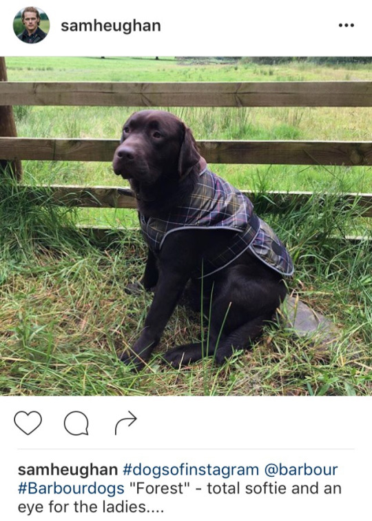 postparacomentaroutlander