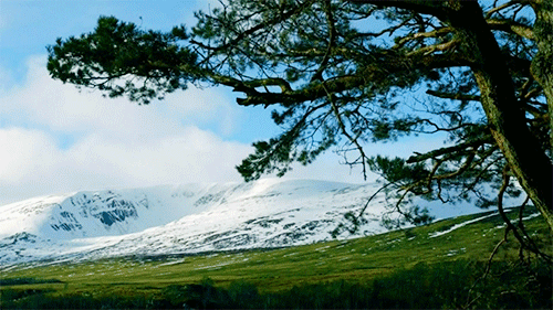 postparacomentaroutlander