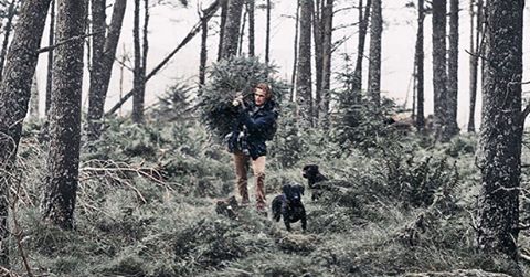 postparacomentaroutlander