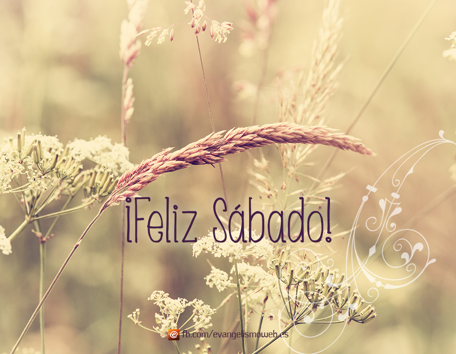 postparacomentaroutlander
