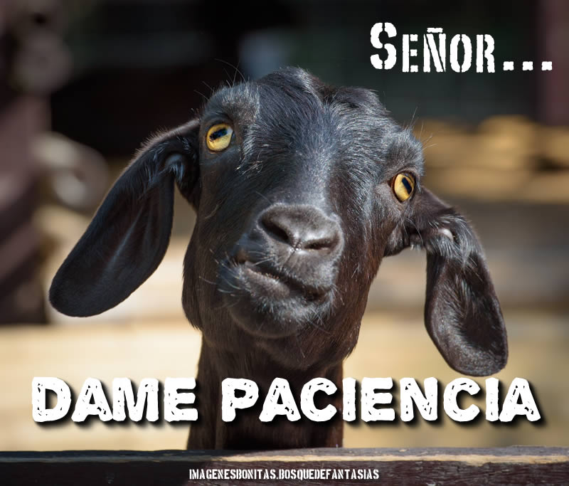 postparacomentaroutlander
