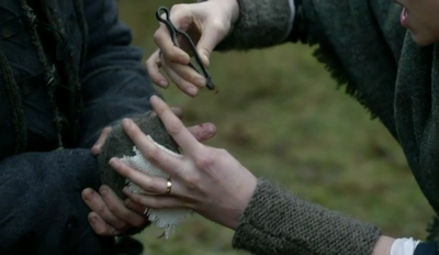 postparacomentaroutlander
