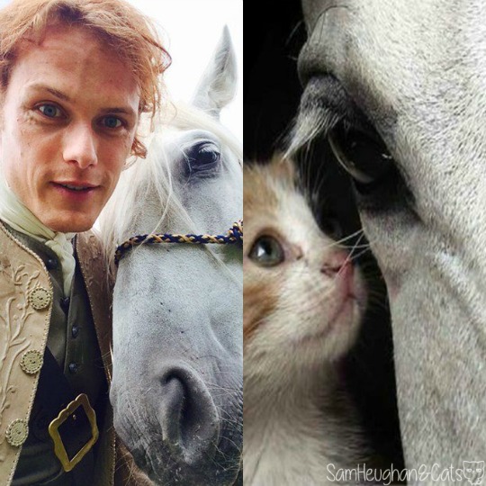 postparacomentaroutlander