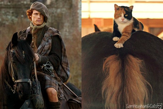 postparacomentaroutlander