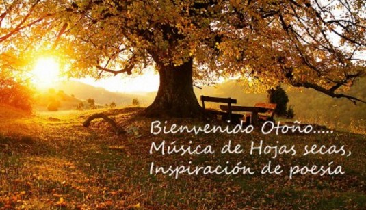 postparacomentaroutlander